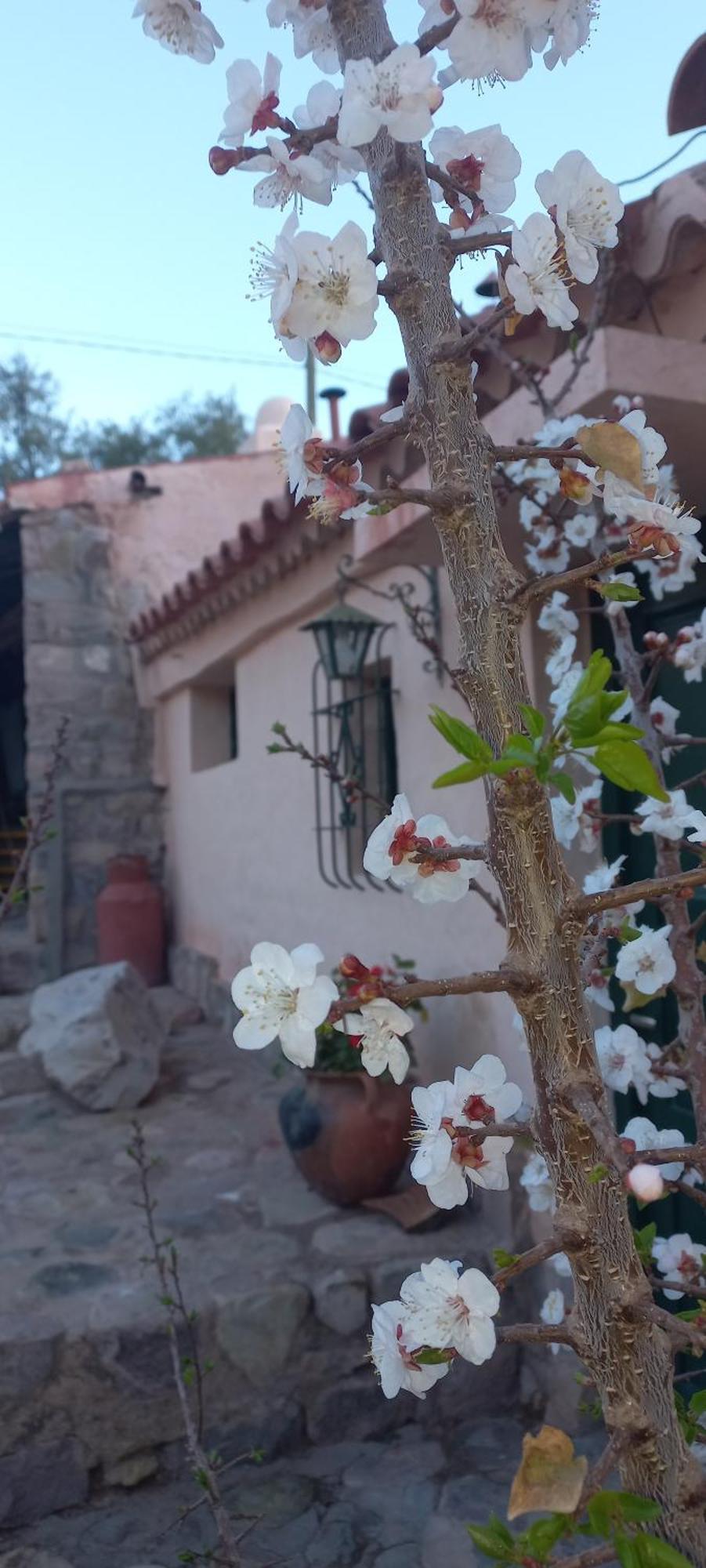 Los Arcabuceros Casa Hotel Boutique Tilcara Exterior foto